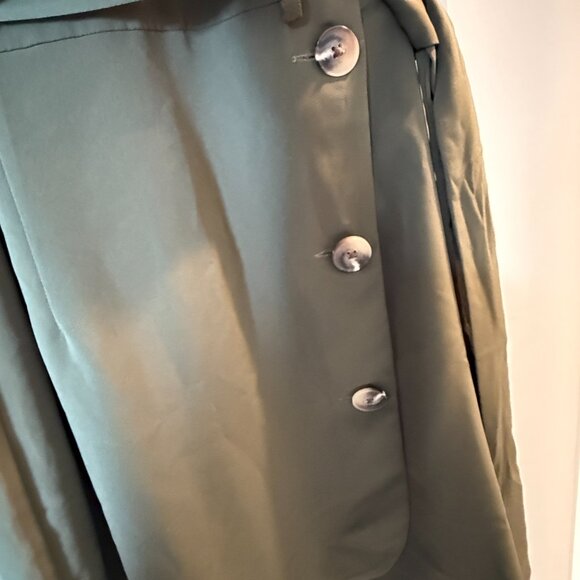 Express Dress - Picture 3 of 4